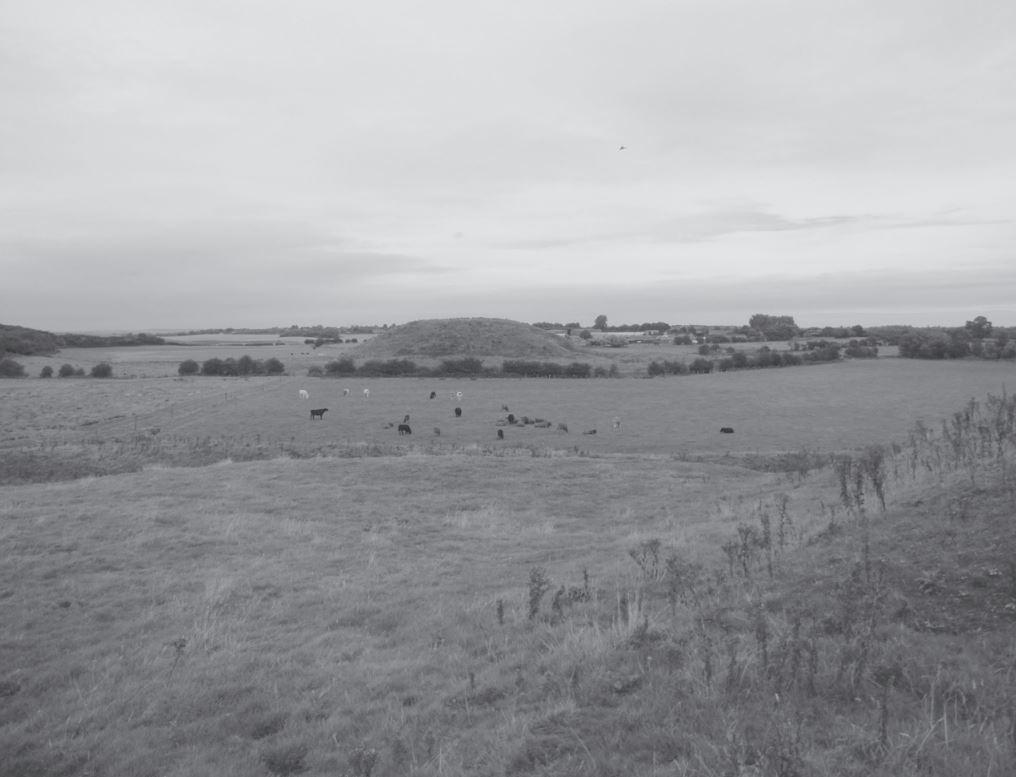 Fig. 5a. Skipsea Brough photographed from the west